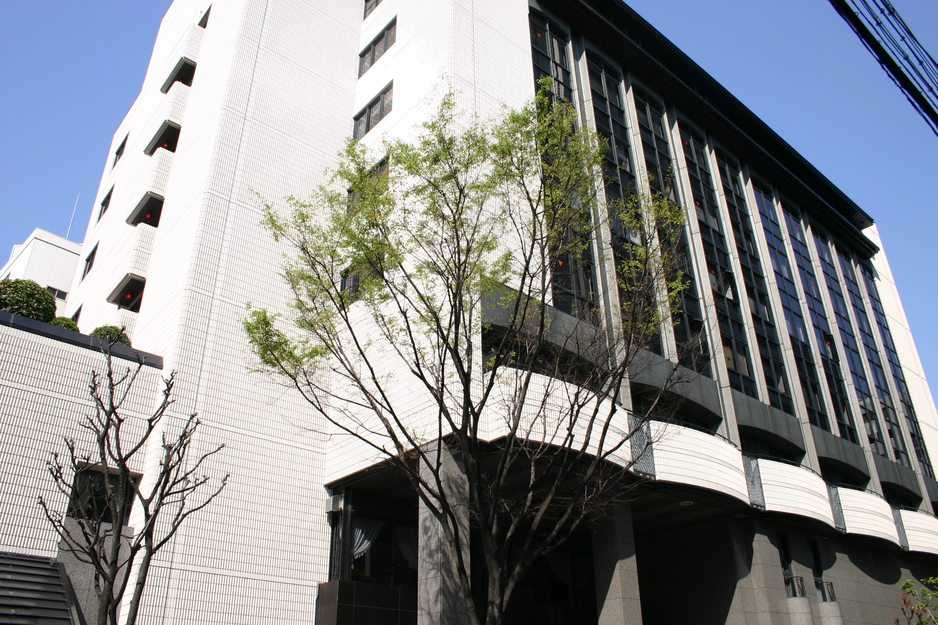 公の場での発言・インタビュー報道記録