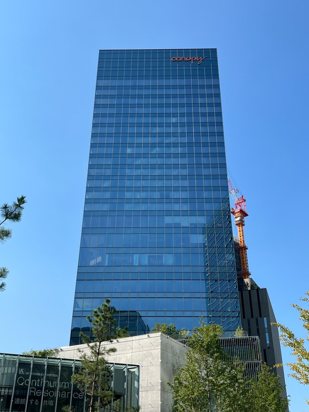 column_areamice_bayarea_05.jpg