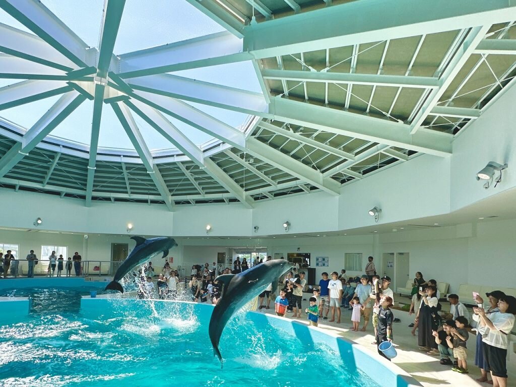 dolphin.jpg